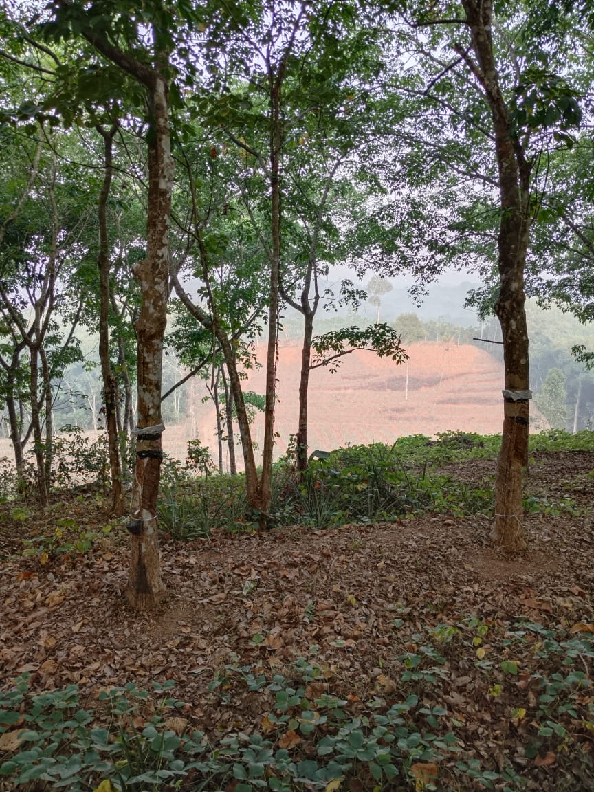 30 Acres of Land for sale - for sale in Thiruvaniyoor, 18, Kerala