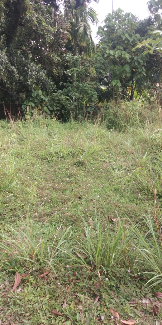4.75Cents of Land