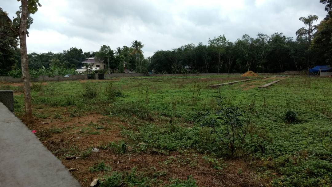 4 cents of land