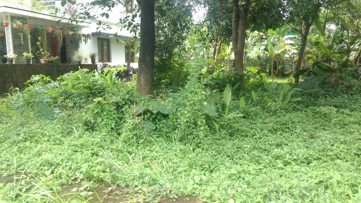 5 Cent  residential land for sale .