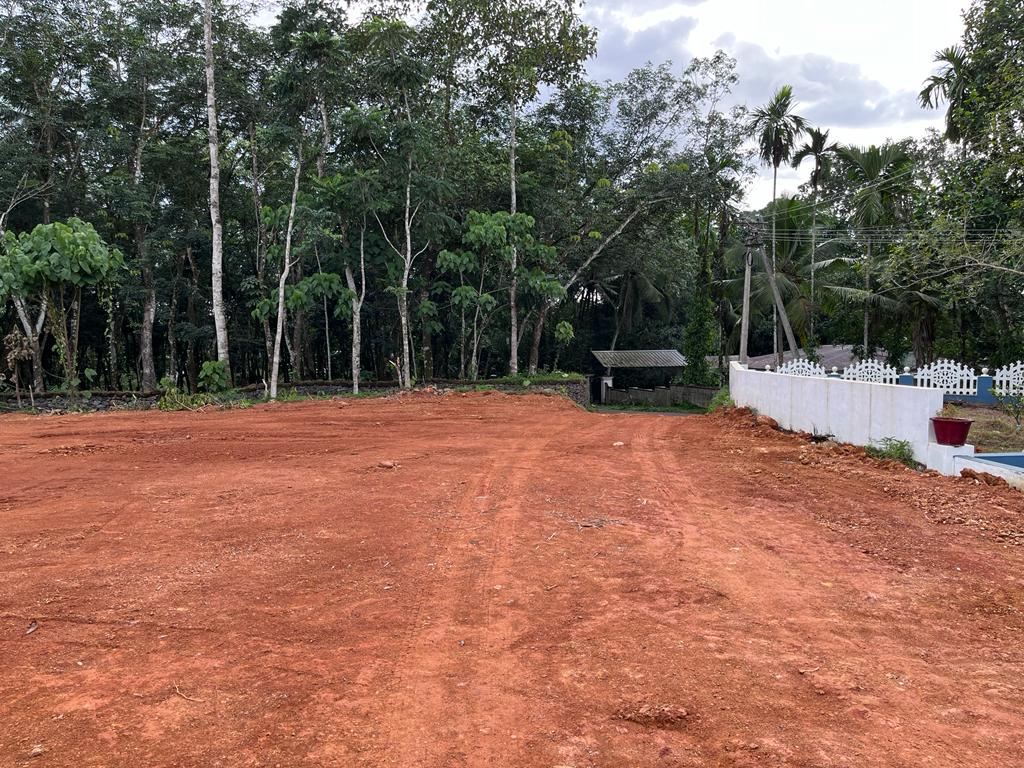 30 cents of Land – Angamaly