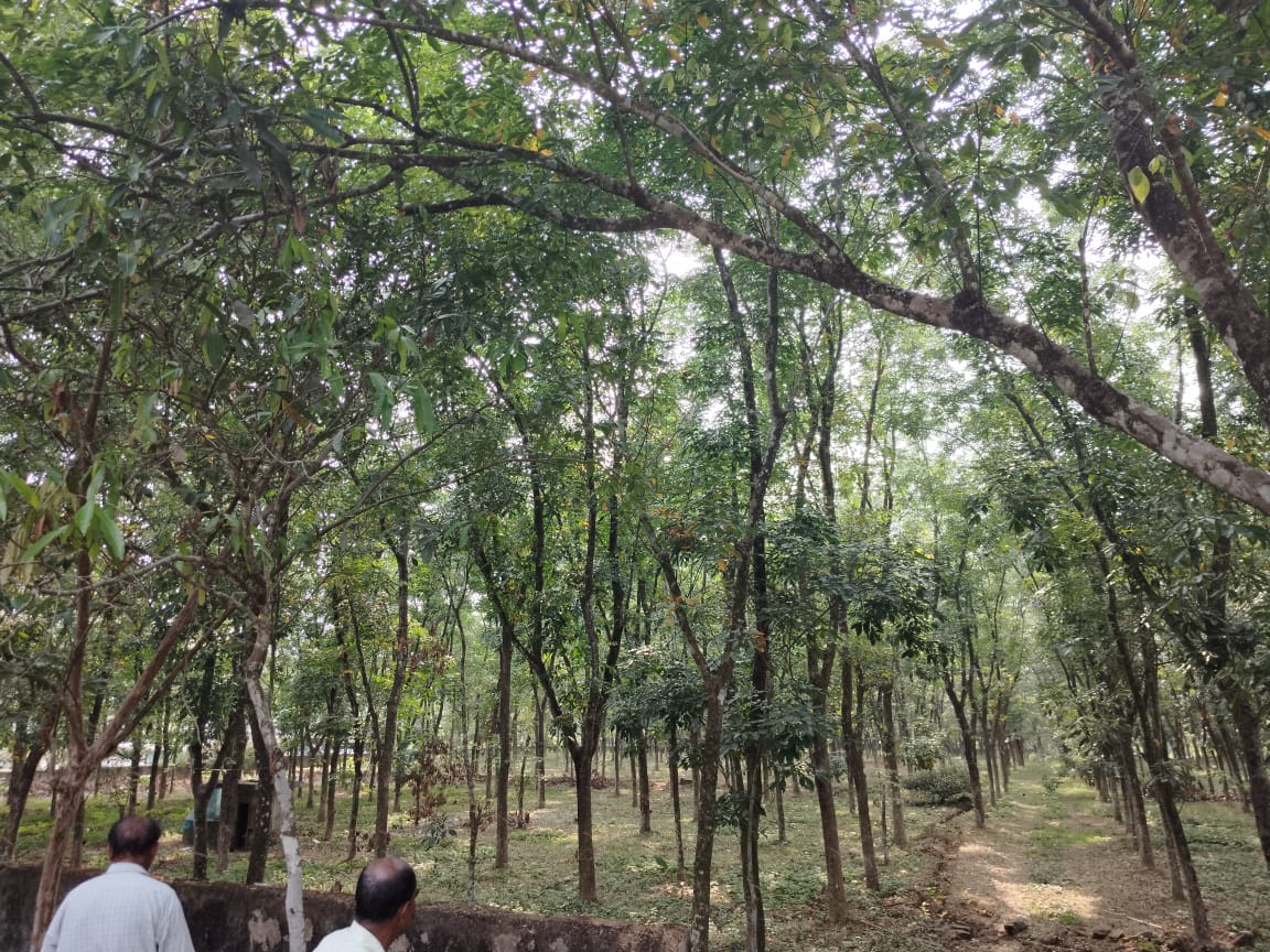 50cent of land for sale - for sale in Thiruvaniyoor, 18, Kerala