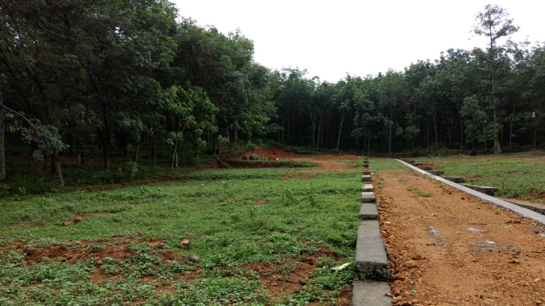 5cents of land - for sale in Maneedthiruvankulam, 18, Kerala
