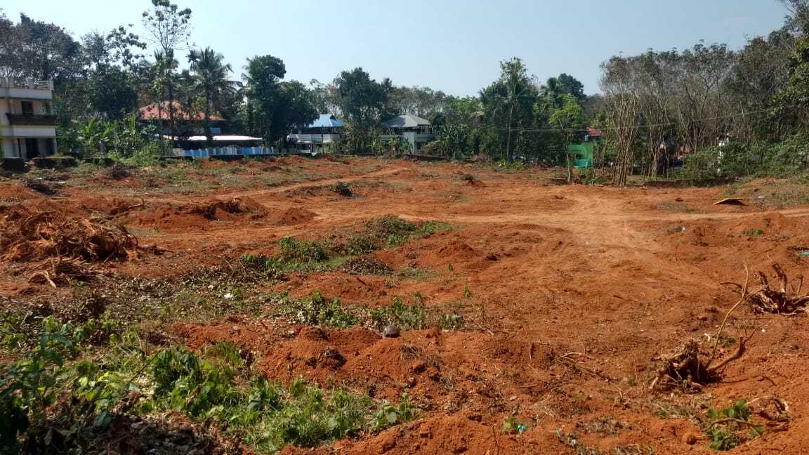 6 Cents of Residential Plot - for sale in Thiruvankulam, 18, Kerala