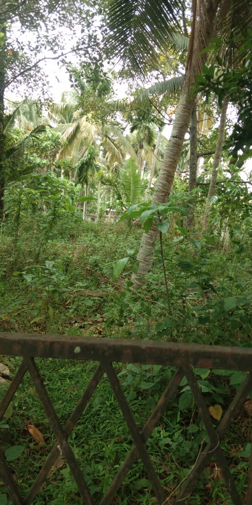 7.5Cents of Land