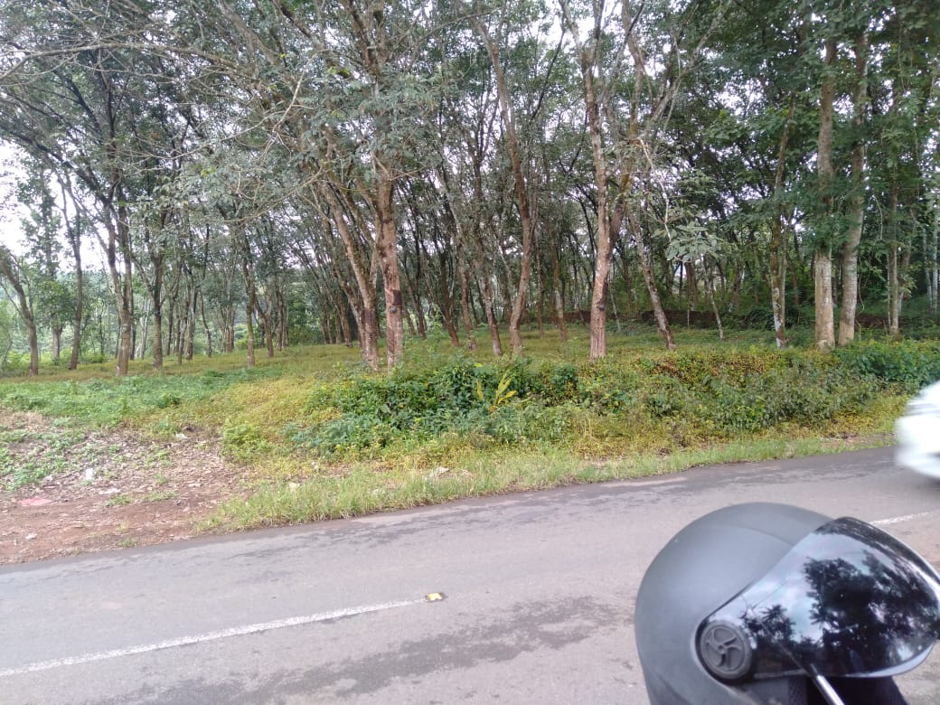76 Cent of Land for sale - for sale in thiruvaniyoor, 18, Kerala