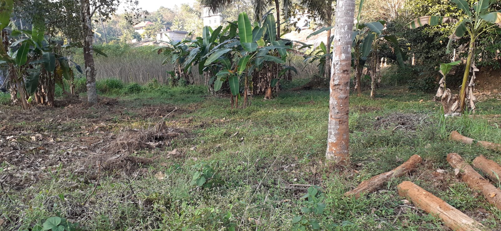 2BHK Brandnew Flat in Chilavanoor, Kadavanthara