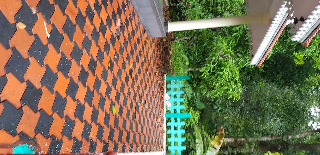 3BHK Semifurnished House with 2Acres Land1800sqft - for sale in Thodupuzhaidukki, 18, Kerala