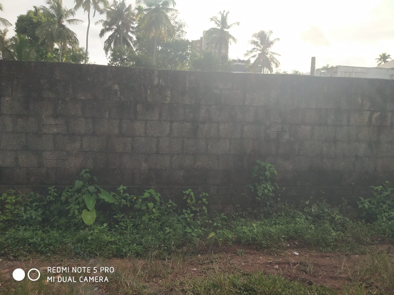 10 Cent land for sale. - for sale in Kannankulangara, Kochi ( Ernakulam ), Kerala