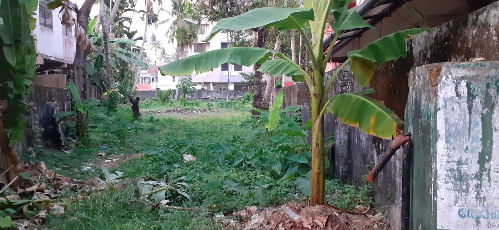 5BHK Brandnew House with 9cent 3000sqft, - for sale in Poojapura Trivandrum, Trivandrum / Thiruvananthapuram, Kerala