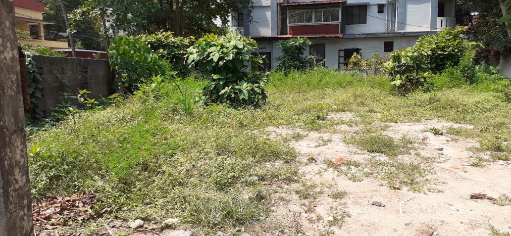 3BHK Unfurnished Flat in Kathrikkadavu, Ernakulam, 1760sqft