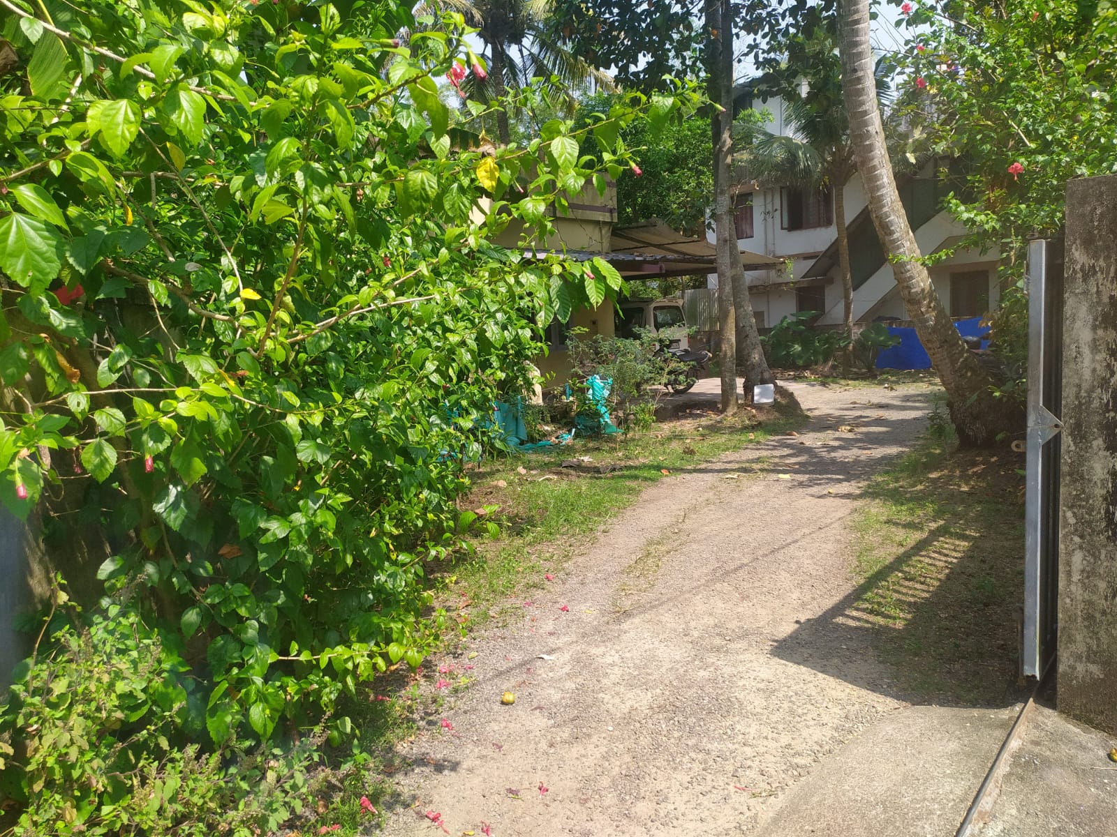 12 cent Residential Land