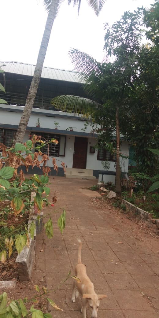 13Cents of Land with an old house