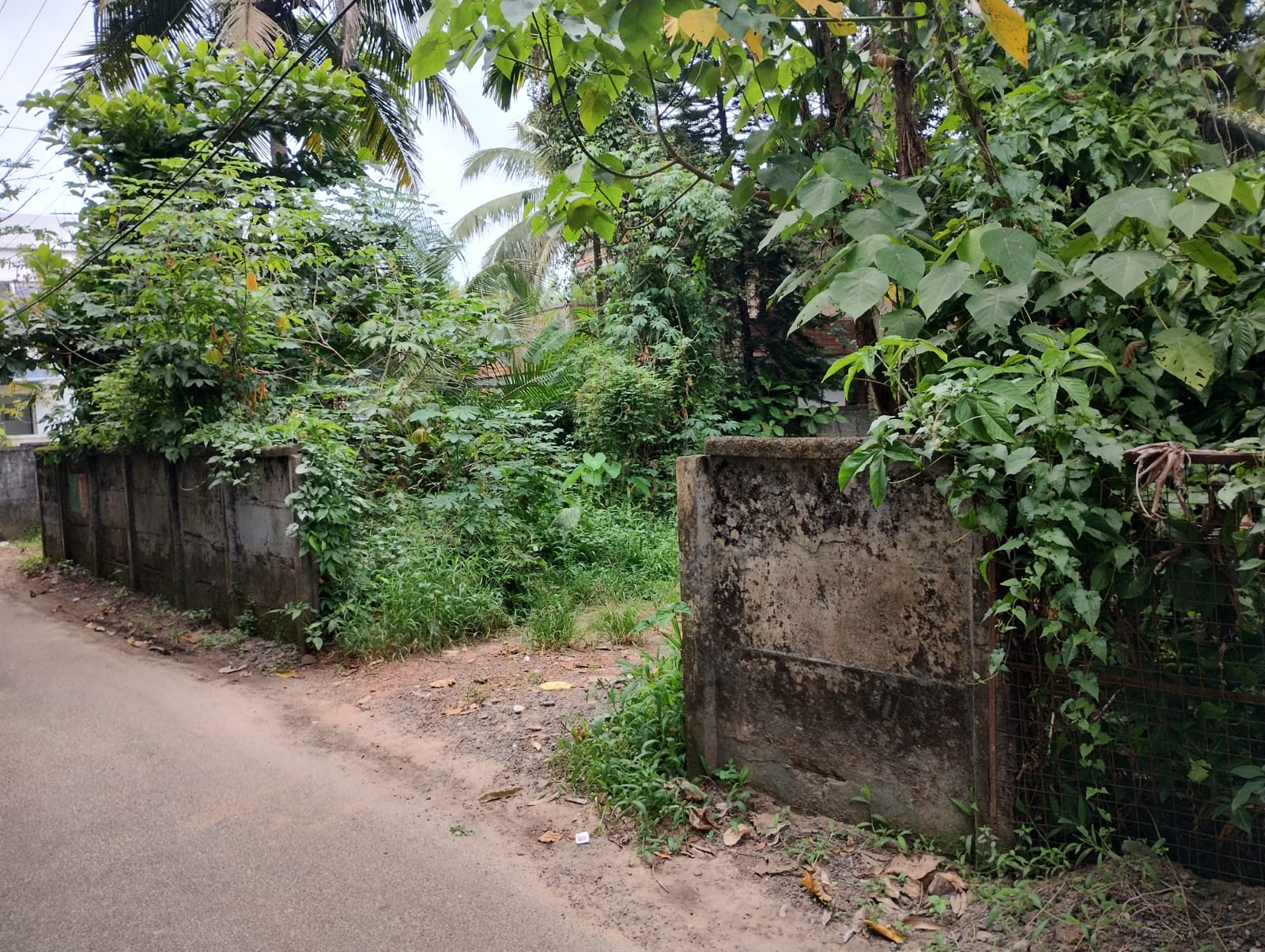14 cent of Residential/Commercial Land