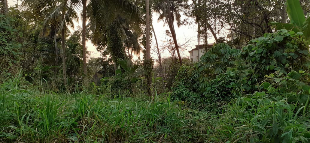 2BHK SemiFurnished Posh Flat near Infopark, Kakkanad,1200 sqft