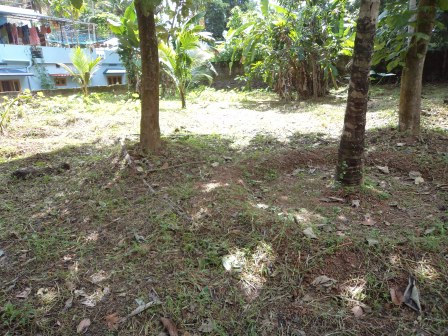 20 cents of land