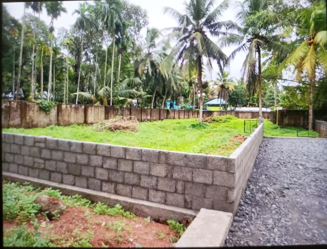 22Cent of Land - for sale in Hill Palace, Kochi ( Ernakulam ), Kerala