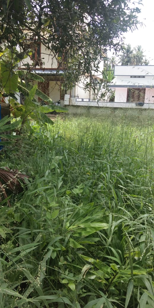 3.5 Cent Land  for sale. - for sale in Tripunithura Ernakulam, Kochi ( Ernakulam ), Kerala