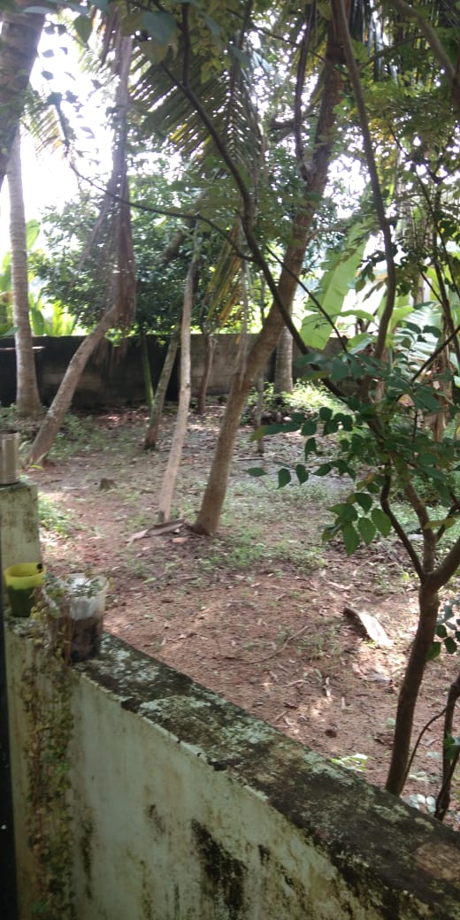 4.25Cents of Residential plot - for sale in S N Jn, Kochi ( Ernakulam ), Kerala