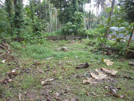4 cents of land