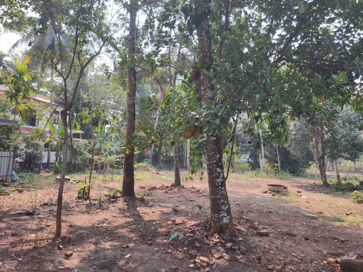 4Cents of Residential Plot