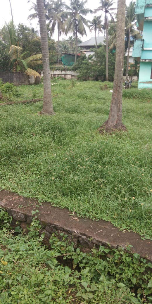 5 Cents  of Land - for sale in Eroor, Kochi ( Ernakulam ), Kerala