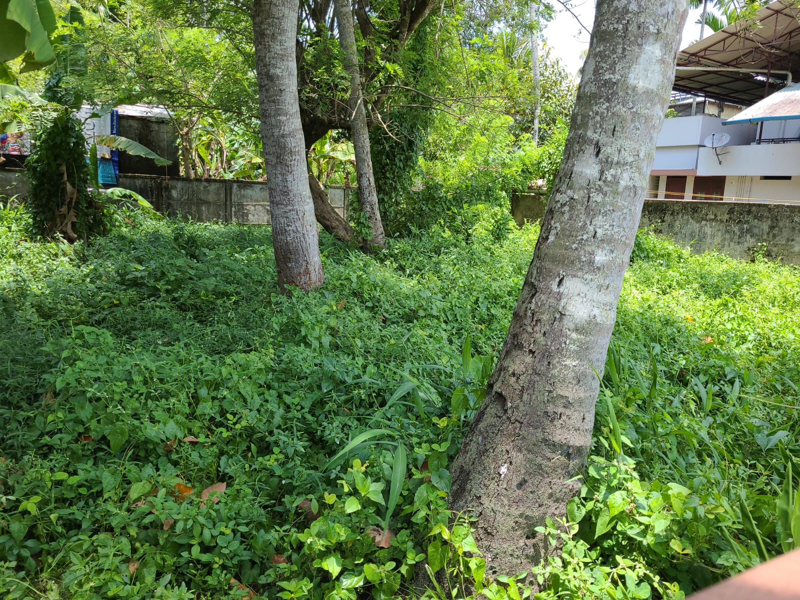 5 Cents of Residential property