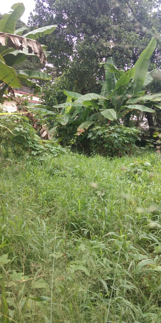 6 Cent Land  for sale. - for sale in Kizhakkekotta, Kochi ( Ernakulam ), Kerala