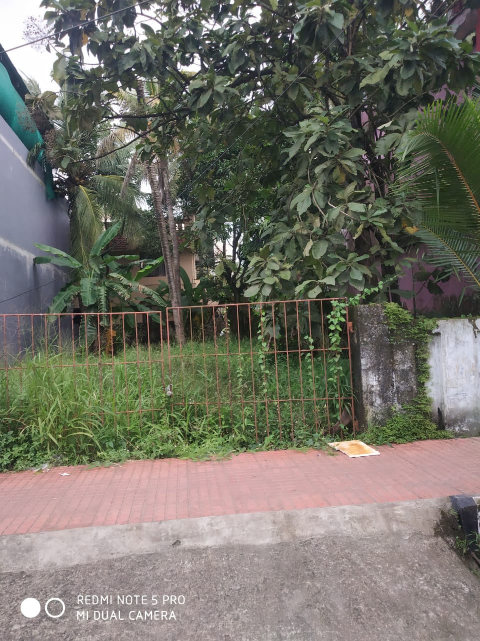6 Cents of Original Land - for sale in Petta, Kochi ( Ernakulam ), Kerala