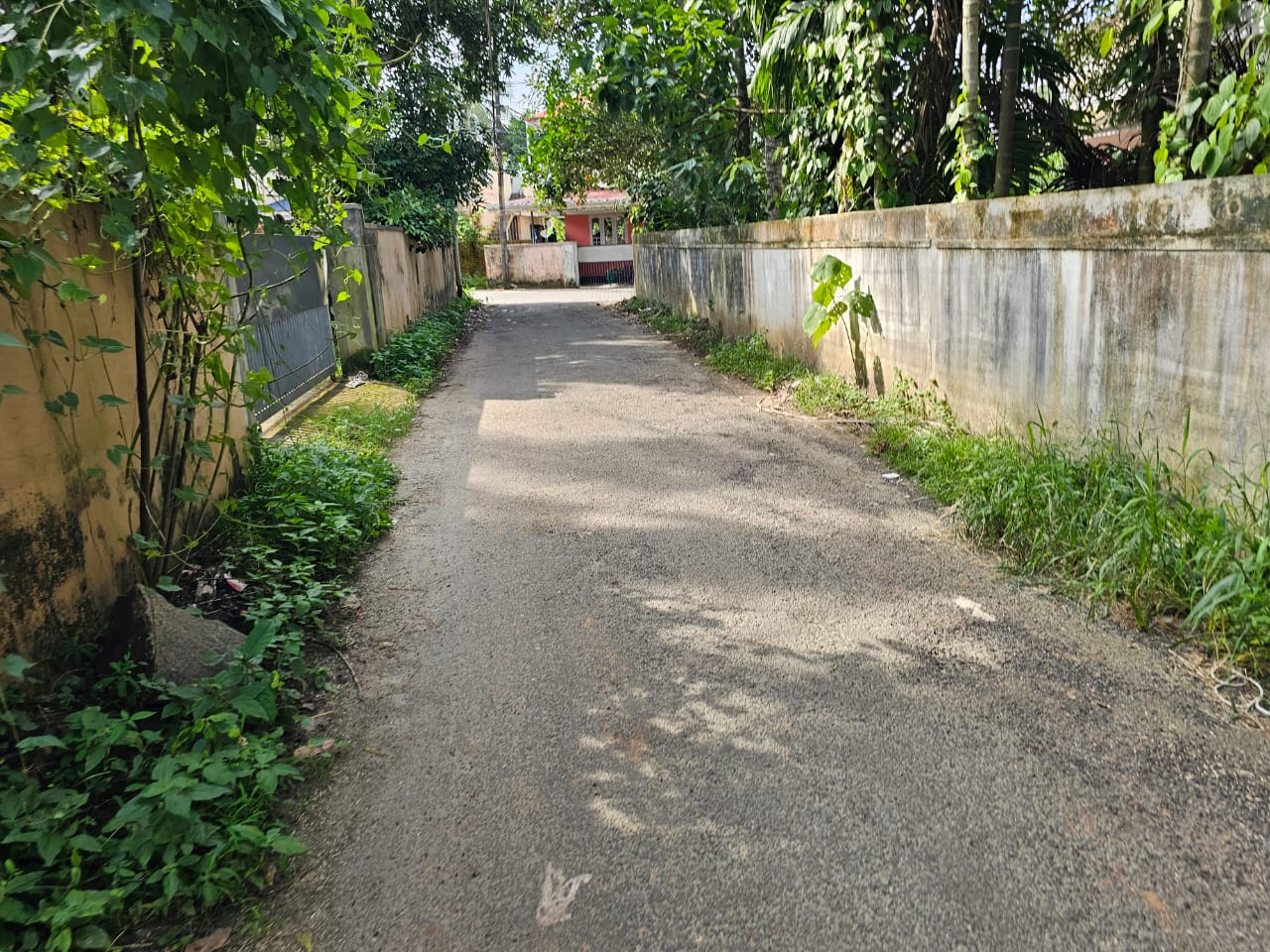 6cents of Land with old house