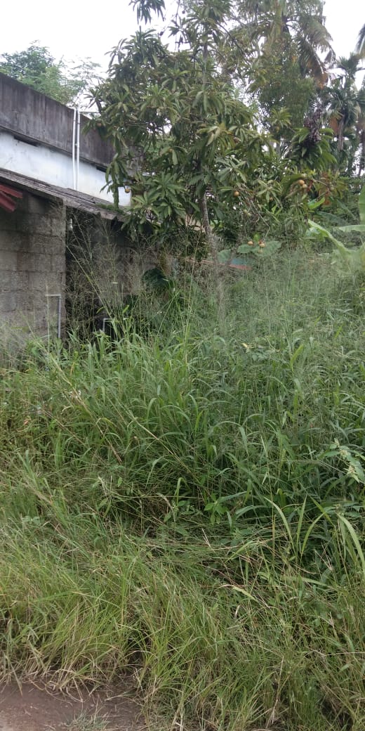 7 Cent Land  for sale. - for sale in Tripunithura Ernakulam, Kochi ( Ernakulam ), Kerala