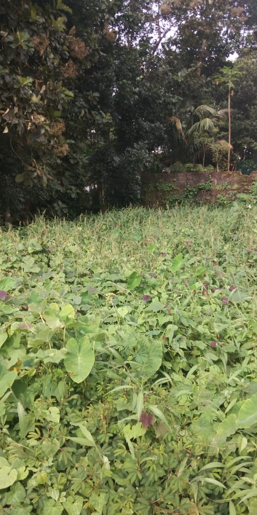 7 Cents of Residential Plot