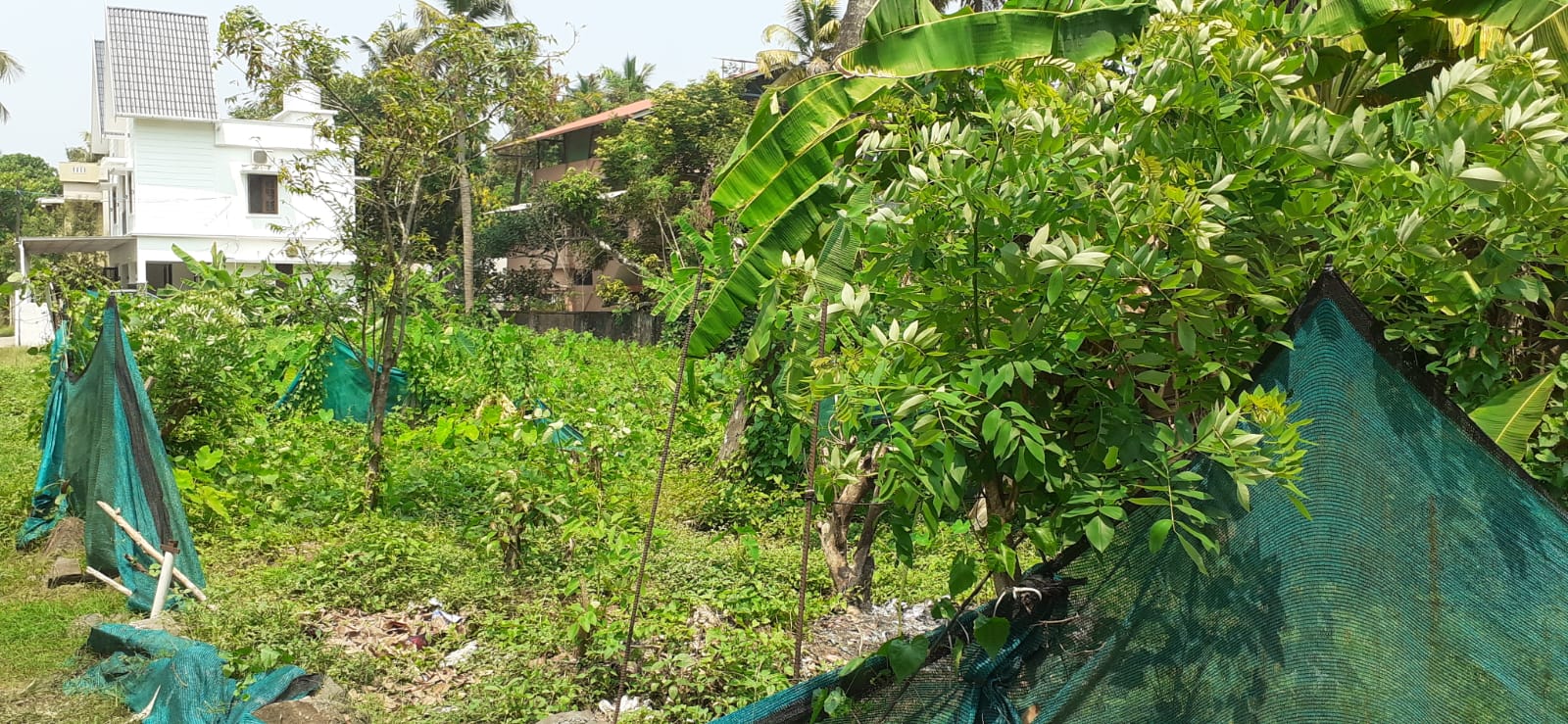 3BHK Fully Furnished House with 3.4cent 1650sqft - for sale in Marad, Kochi ( Ernakulam ), Kerala