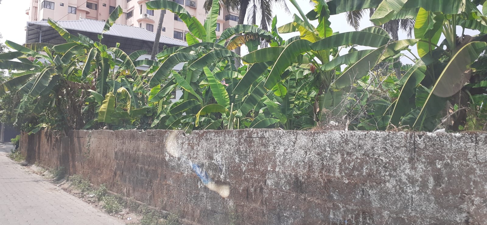 3BHK Fully Furnished House with 3.4cent 1650sqft