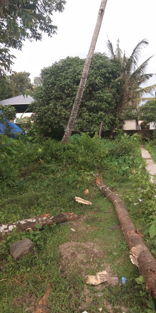 8.327 Cents of Residential Land - for sale in Puthiyakavu, Kochi ( Ernakulam ), Kerala