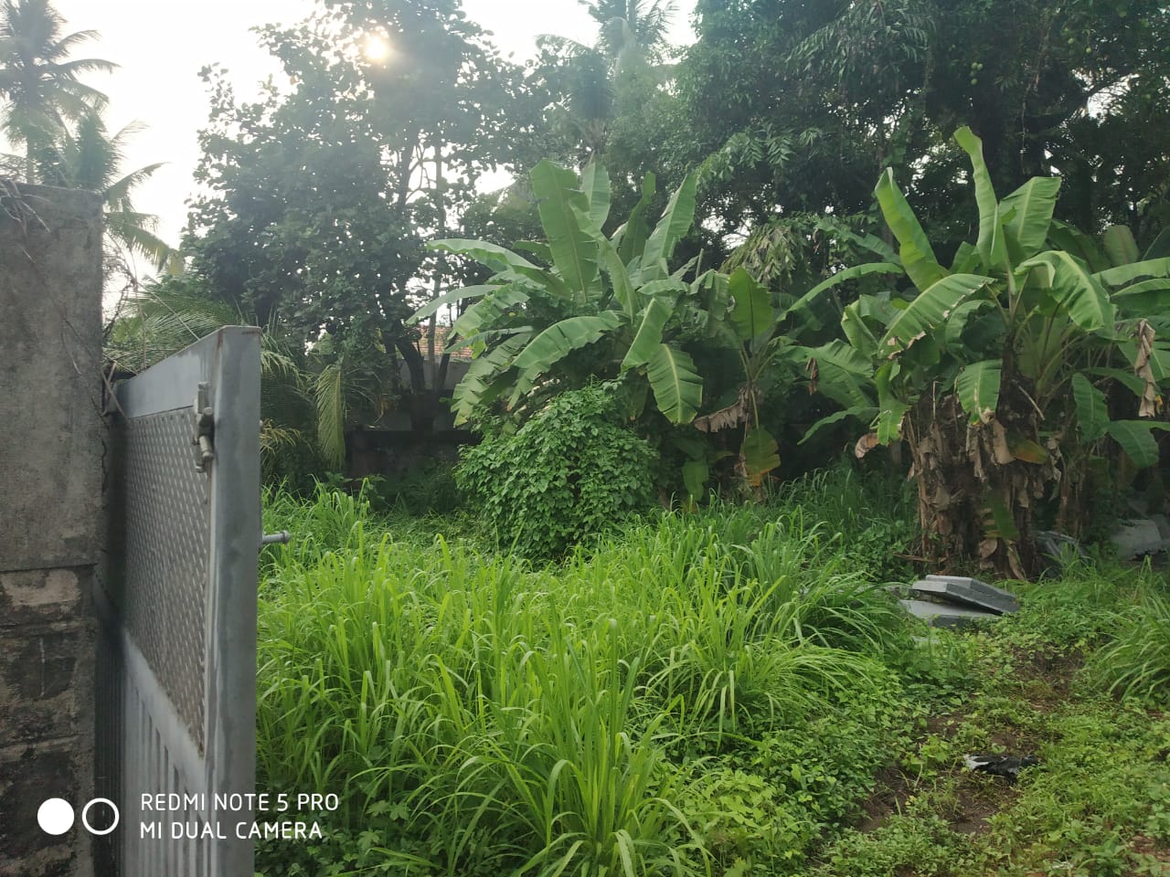 4BHK Brand-new House 1900sqft near Aluva, Parambayam
