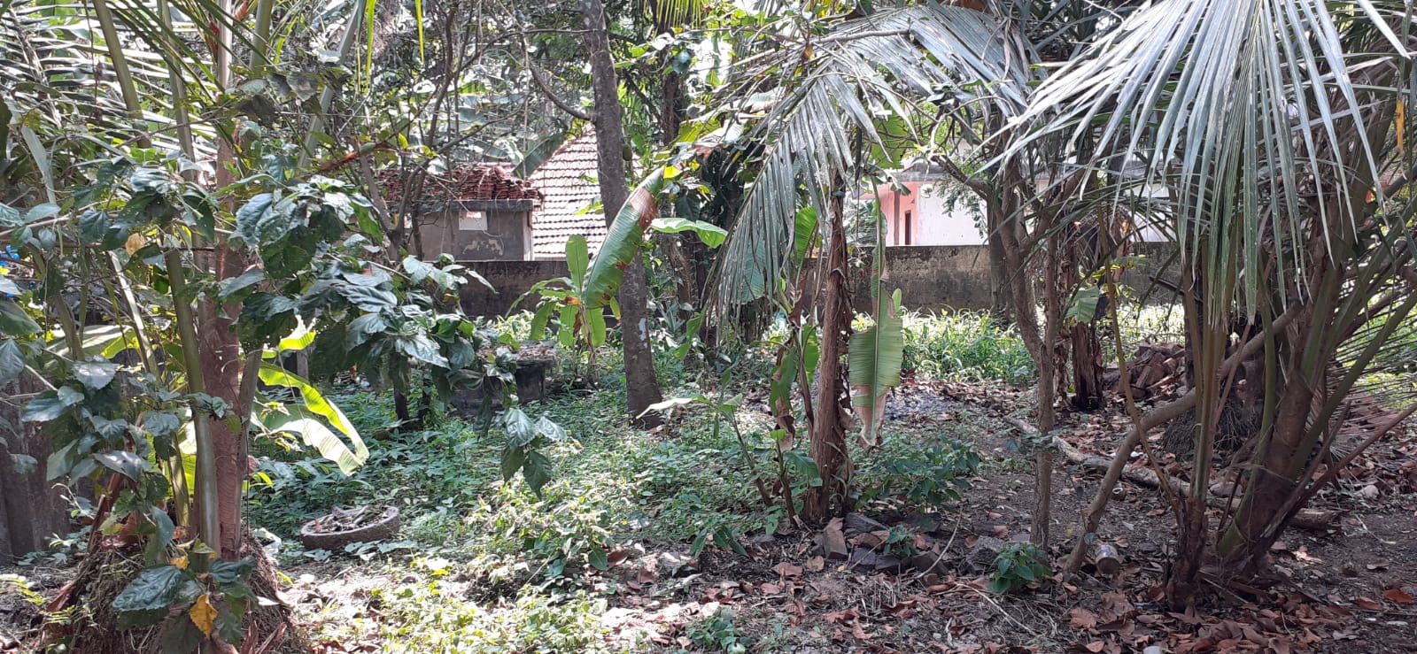 3BHK Semifurnished House1800sqft