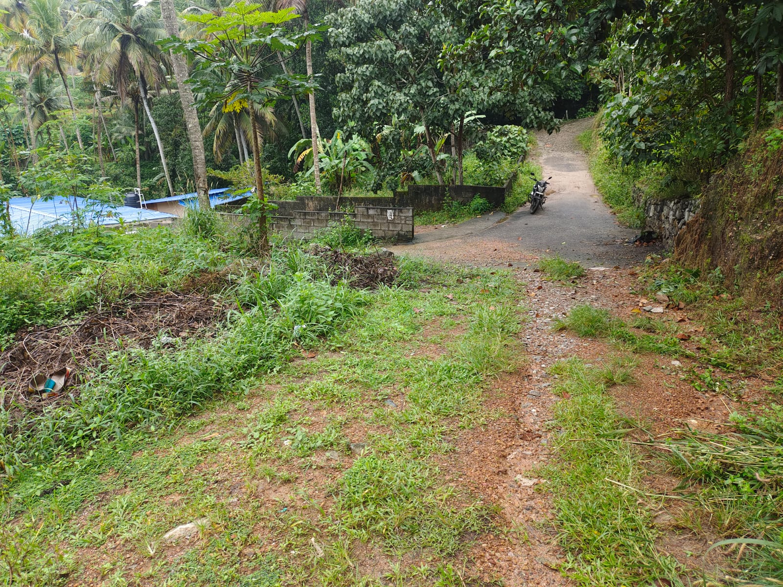 5Cent Residential Land