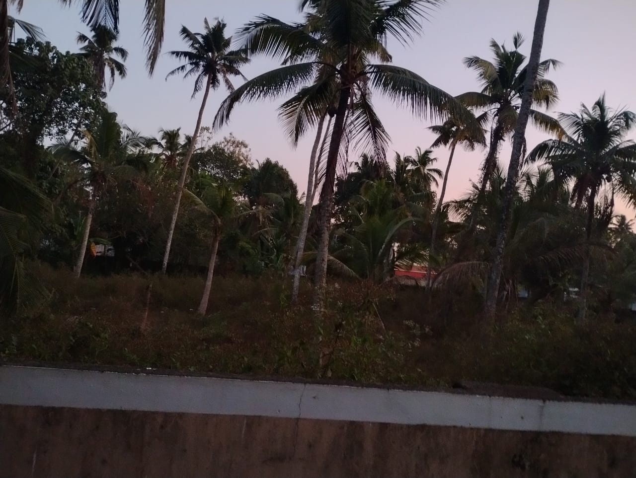 46Cents of residential Land - for sale in Udayamperoor Tripunithura, Kottayam, Kerala