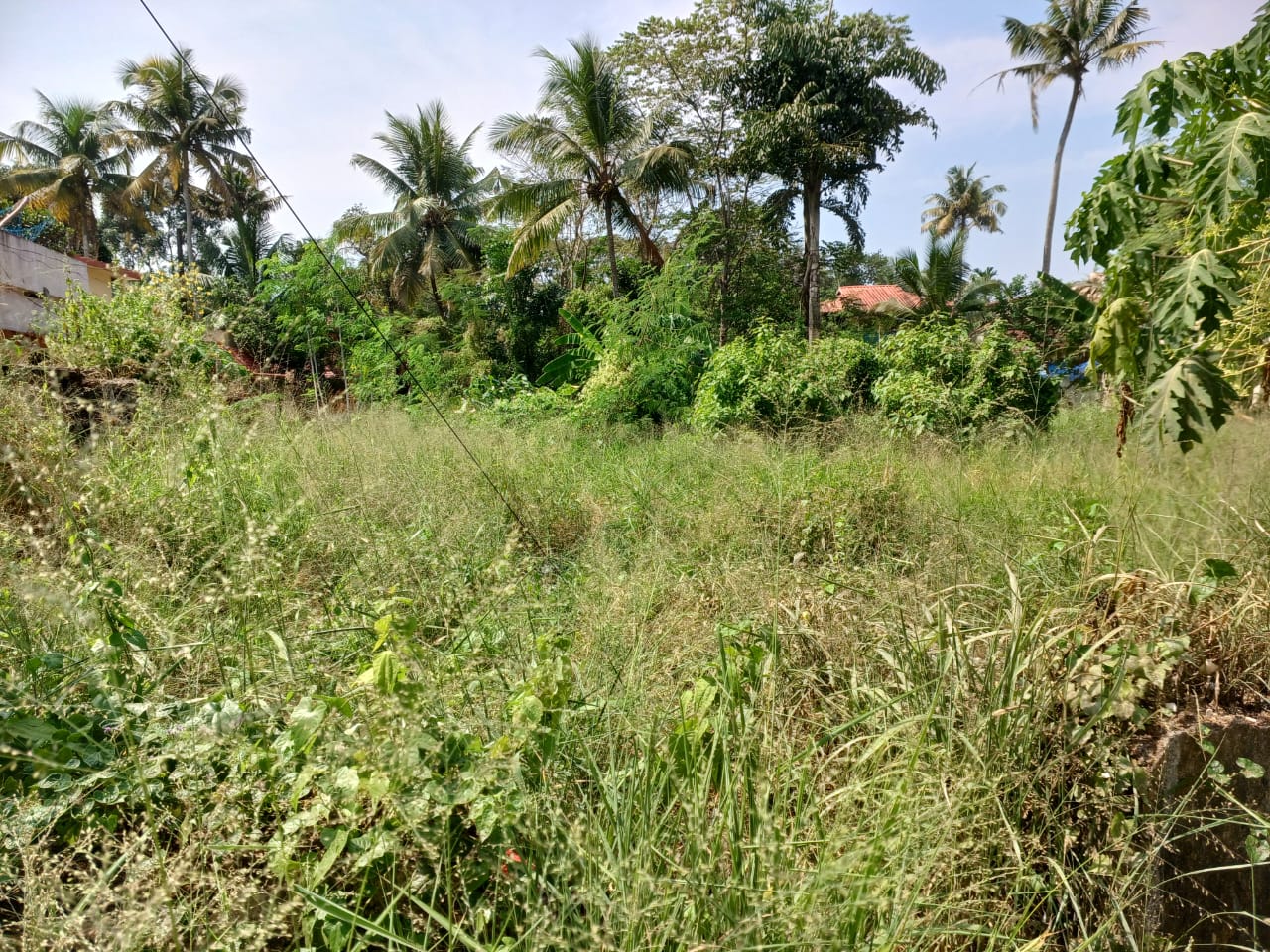 65cents of Land in Udayamperoor, Tripunithra