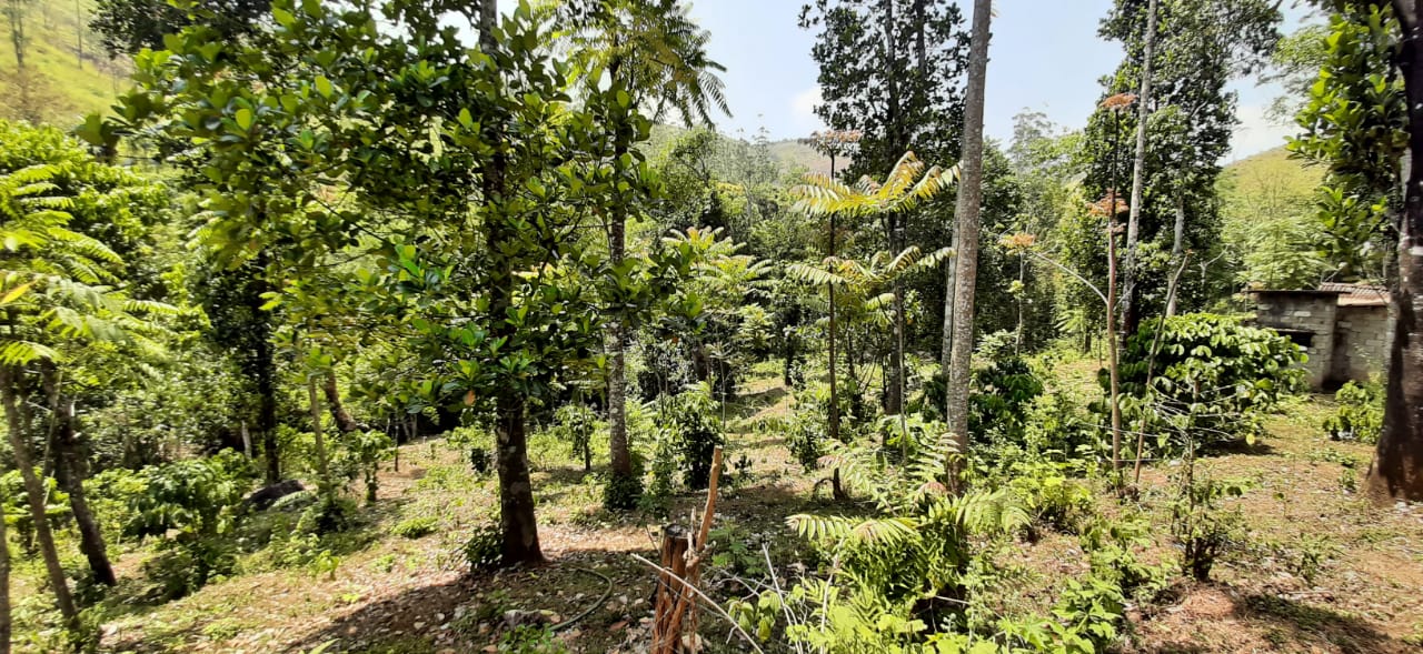1.34 Acres of Land