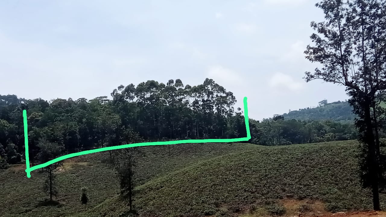 1.50 Acres of Land