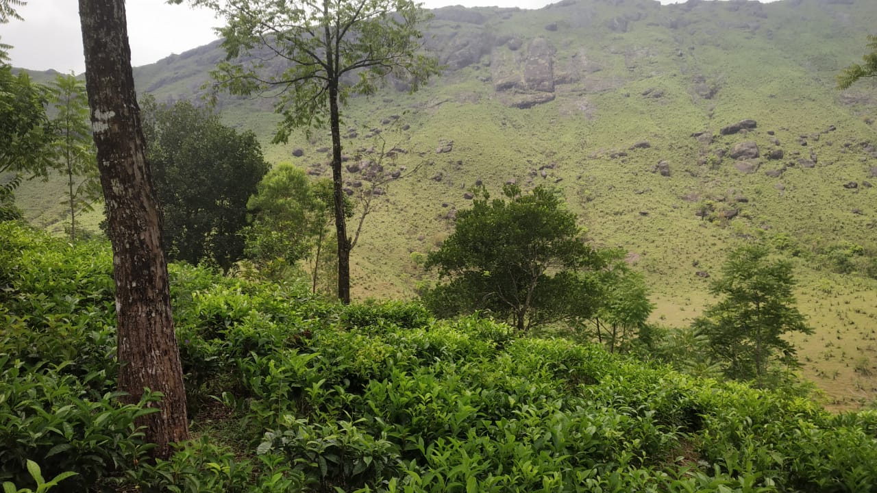 1.5Acres of Land