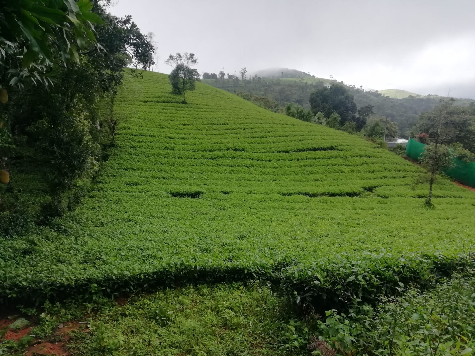 10 cents of Commercial Land