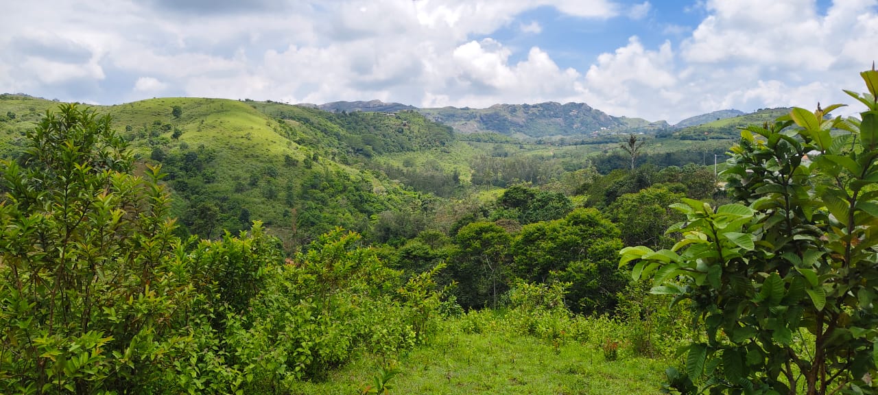 1 acre of Land in Vagamon, Idukki
