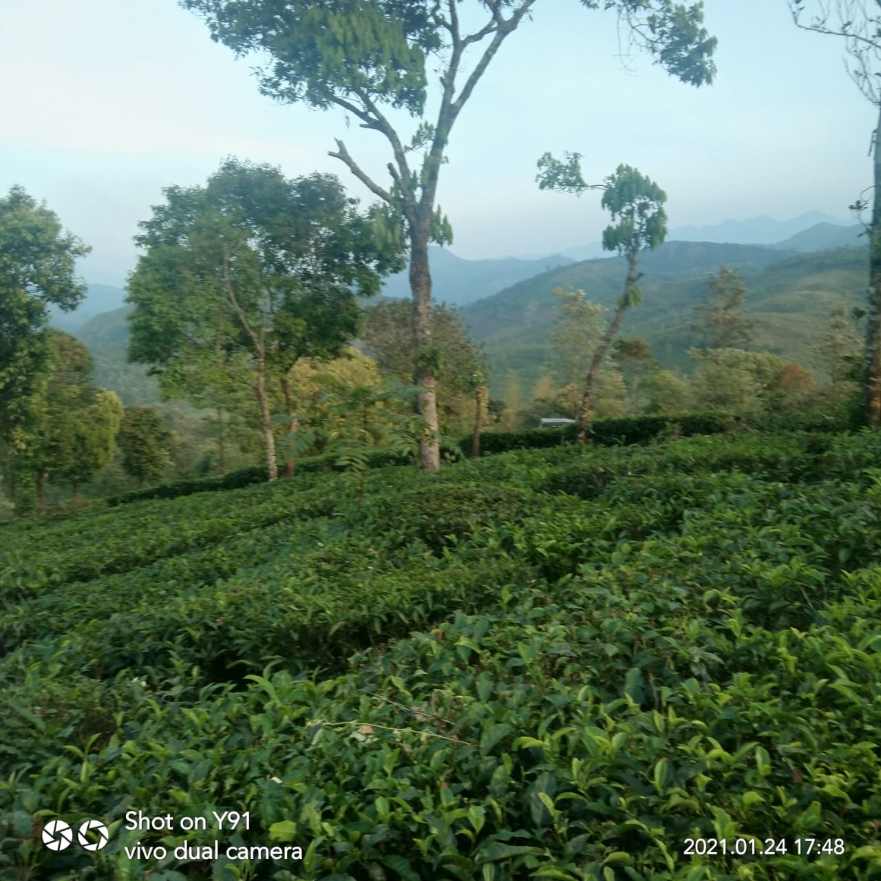 1 Acres of Land - for sale in Vagamon Idukki, Idukki, Kerala