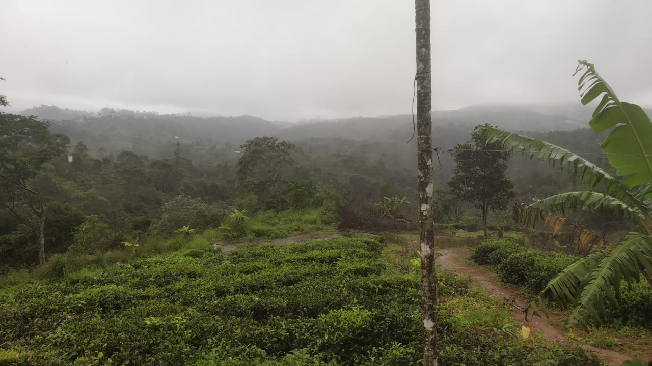 150 Cent of Land - for sale in Vagamon Idukki, Idukki, Kerala