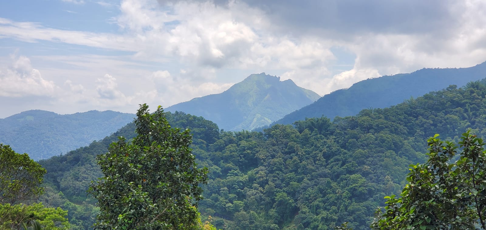 175 Cents of Land - for sale in Earattupetta , Idukki, Kerala