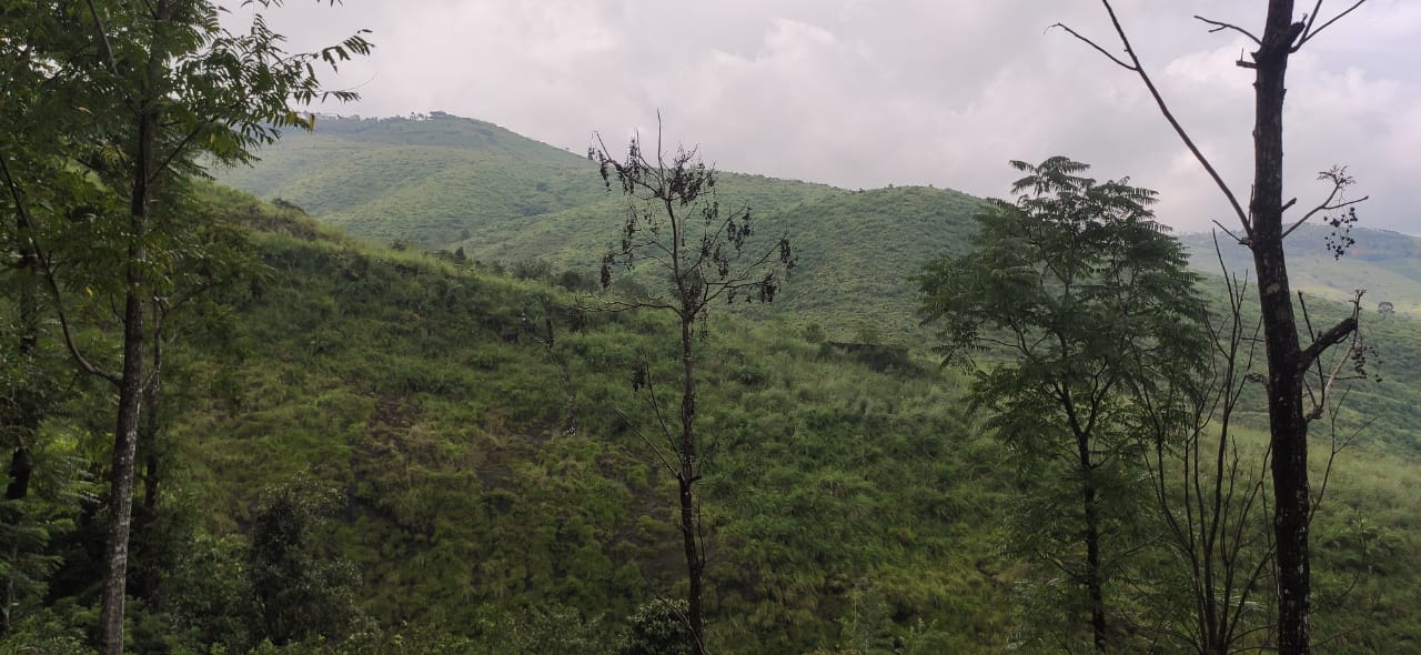 39cent of Land in Athani, Angamaly