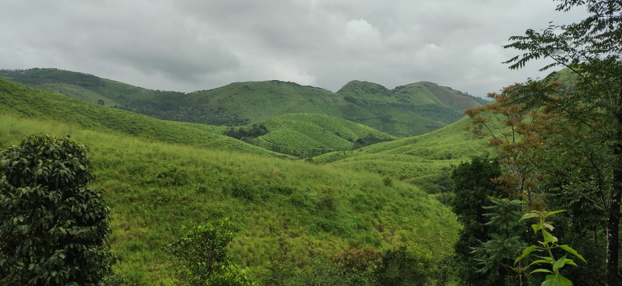 39cent of Land in Athani, Angamaly
